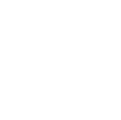 GSM Multimedia Pro